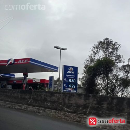 Gasolina
