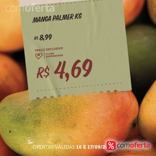 Manga Palmer -Kg