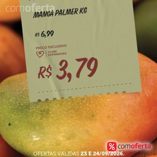 Manga Palmer -Kg