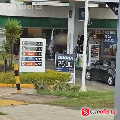 Gasolina