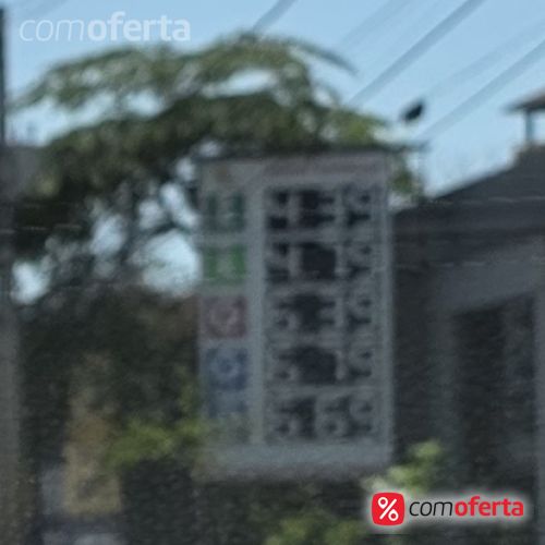 Gasolina
