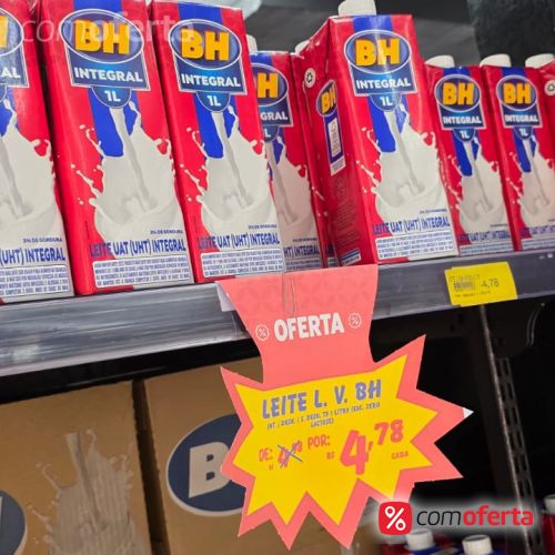 Leite Integral BH 1l